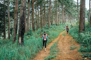 BIB: 
                            <button type="button" onclick="openModal(25661198)" class="btn btn-primary btn-sm float-right btn-popup" data-toggle="modal" data-target=".modal-high-quality">
                        <i class="fas fa-shopping-cart"></i> Add to Cart
                    </button>
                                            <button type="button" onclick="isThisMe(25661198, true)" class="btn btn-success btn-sm float-right btn-popup btn-isme hidden" data-toggle="tooltip" data-placement="bottom" title="นี่คือรูปของคุณใช่ไหม คลิกที่นี่เพื่อเอาเข้าอัลบั้ม">
                        <i class="fas fa-plus"></i> Add to album
                    </button>
                    <button type="button" onclick="isThisMe(25661198, false)" class="btn btn-warning btn-sm float-right btn-popup btn-isnotme hidden">
                        <i class="fas fa-ban"></i> Remove from album
                    </button>